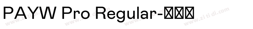 PAYW Pro Regular字体转换 PAYW Pro Regular字体转换